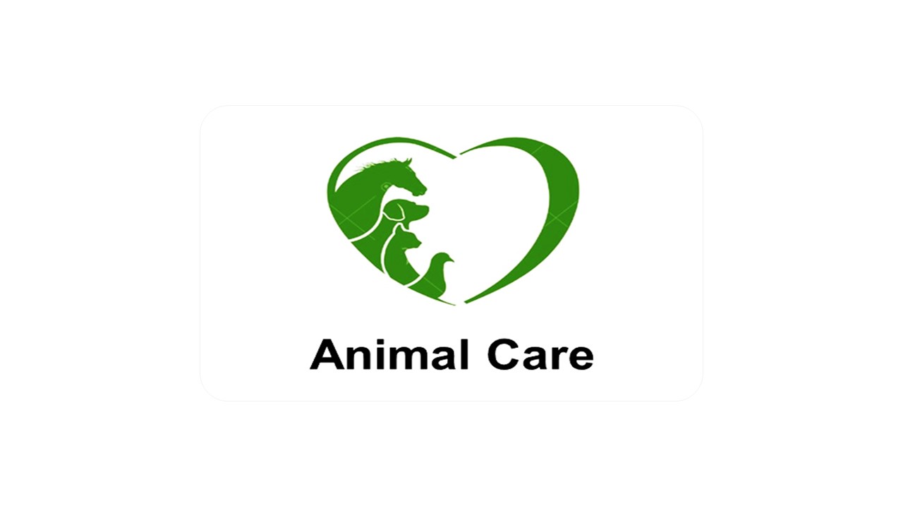 رعاية الحيوانات  Animal Care